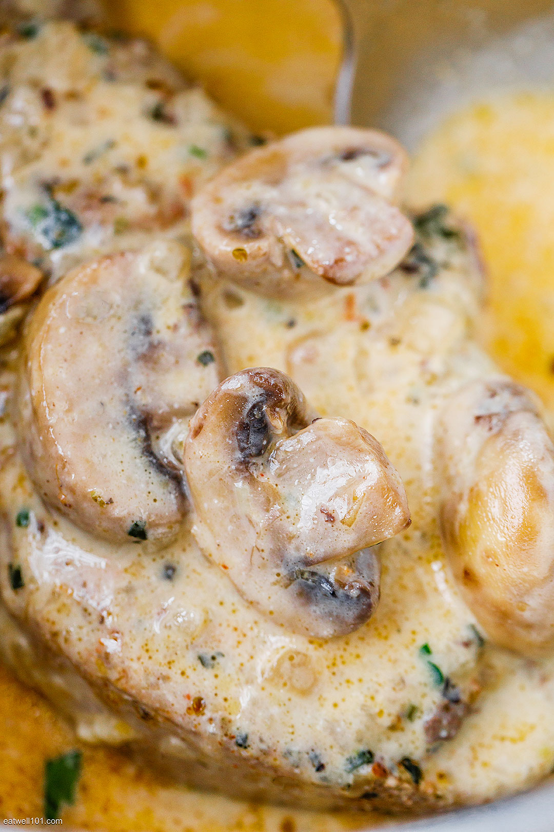 Instant Pot Pork Chops In Creamy Mushroom Sauce Instant Pot Pork