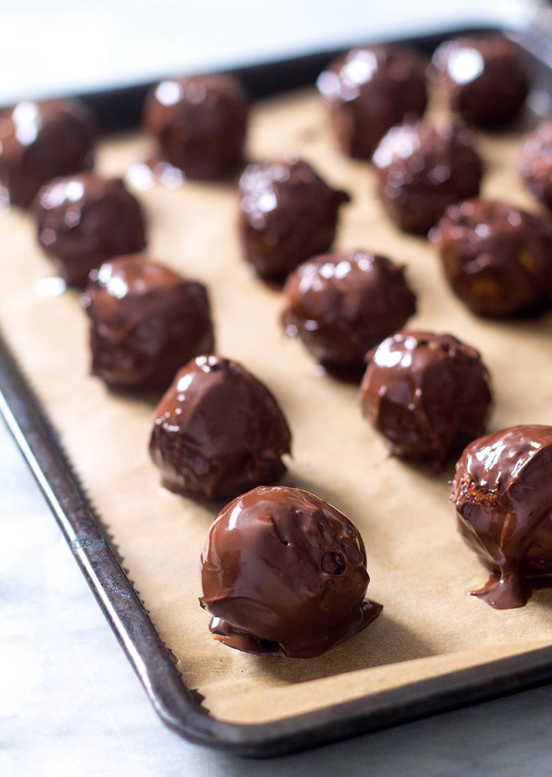 Fudgy Pumpkin Ginger Chocolate Bites Recipe — Eatwell101