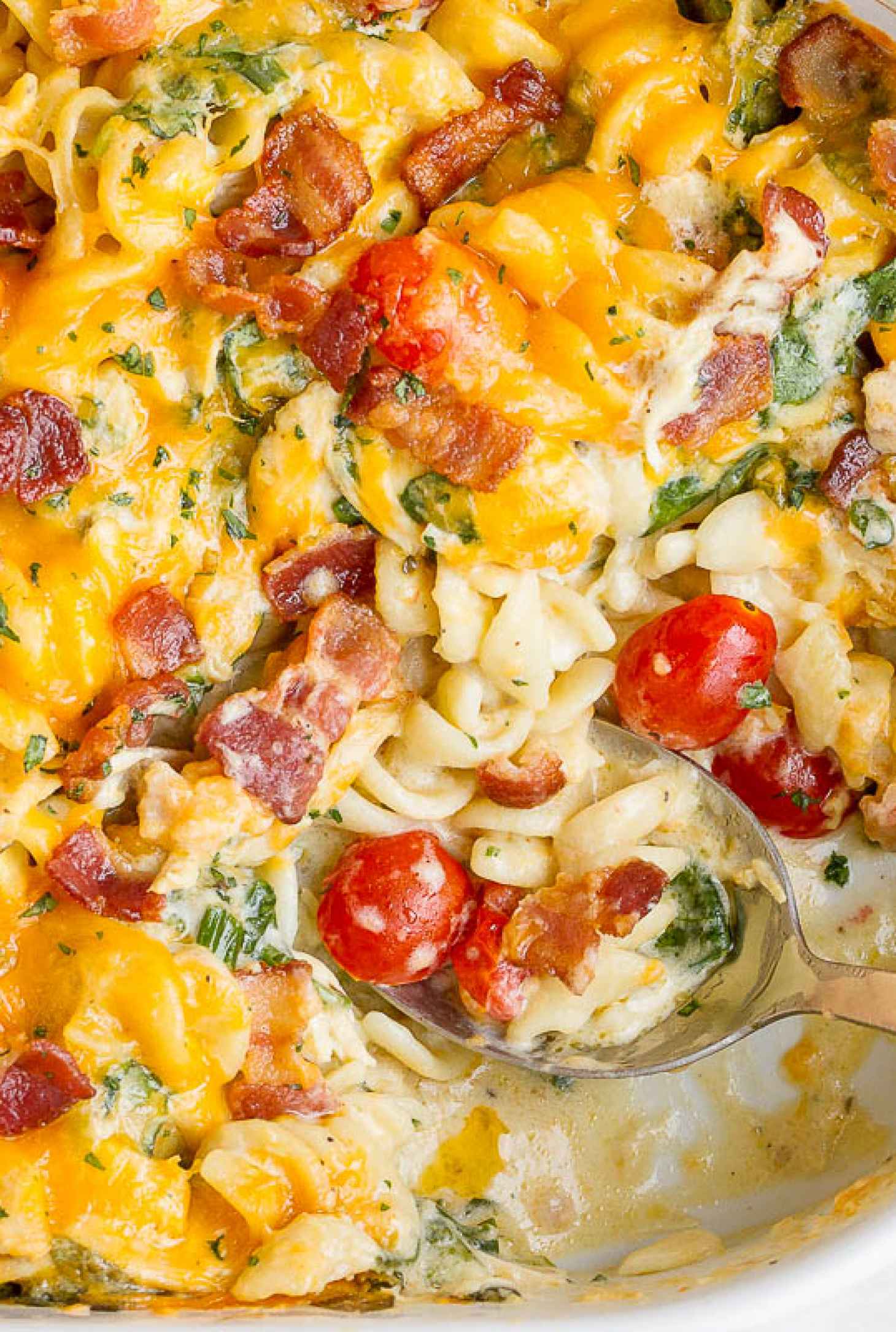 Kid Friendly Casseroles: 11 Casseroles Recipes That Are 100% Kid ...