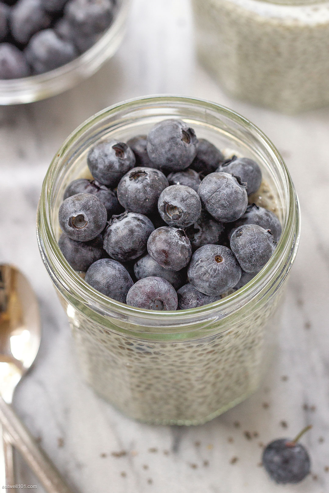 Nectarine and Blueberry Chia Pudding-The Almond Eater