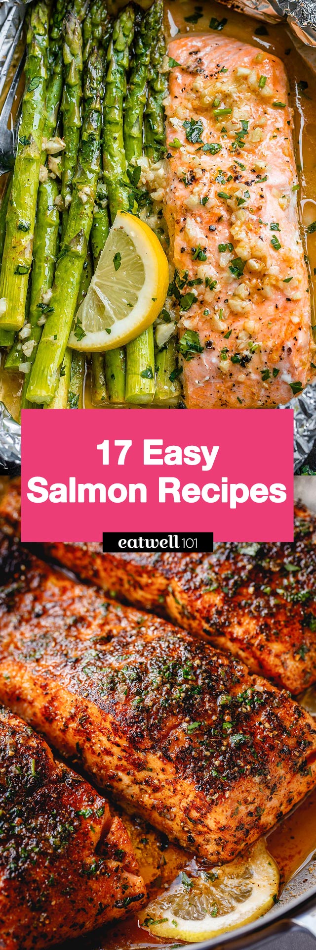 Easy Salmon Recipes: 17 Salmon Recipes — Eatwell101