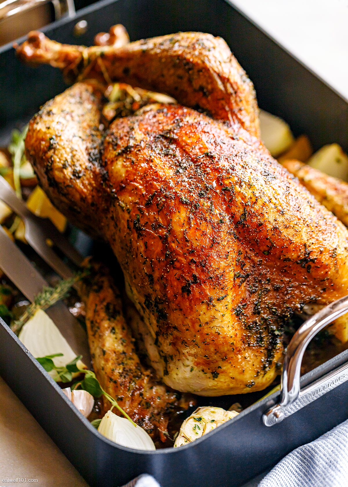 Best Oven Roasted Turkey Recipe - A Well-Seasoned Kitchen®