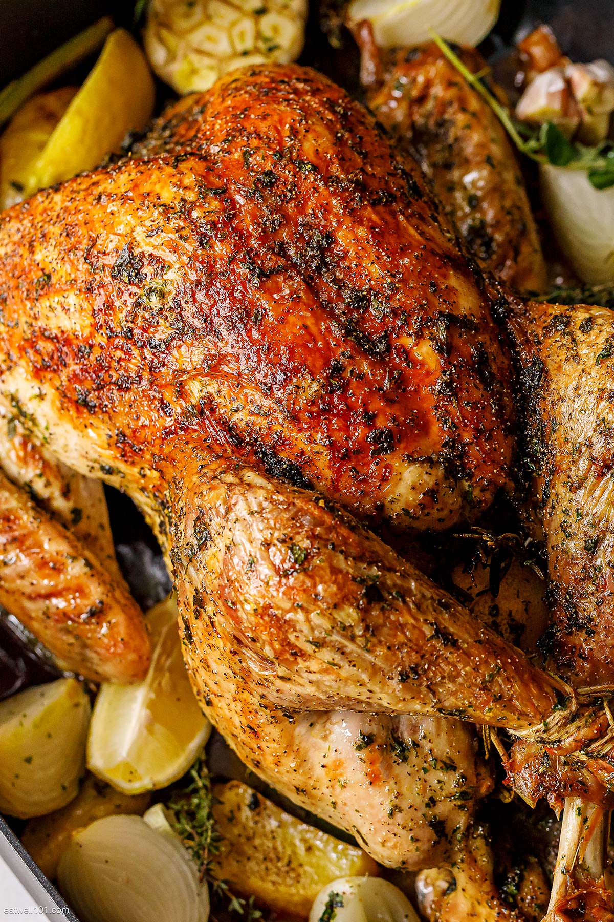 Best Oven Roasted Turkey Recipe - A Well-Seasoned Kitchen®